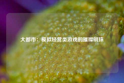 大都市:模拟经营类游戏的璀璨明珠