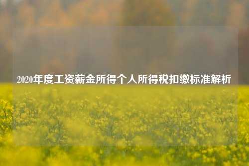 2020年度工资薪金所得个人所得税扣缴标准解析