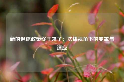新的退休政策终于来了:法律视角下的变革与适应