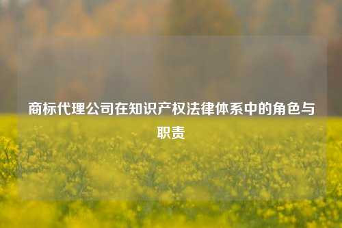 商标代理公司在知识产权法律体系中的角色与职责