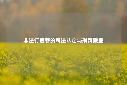 非法行医罪的司法认定与刑罚裁量