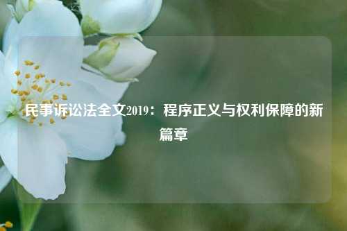 民事诉讼法全文2019：程序正义与权利保障的新篇章
