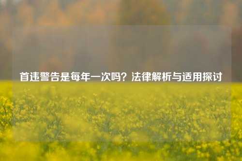 首违警告是每年一次吗？法律解析与适用探讨