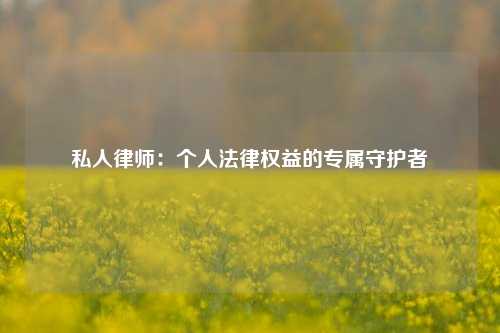 私人律师：个人法律权益的专属守护者