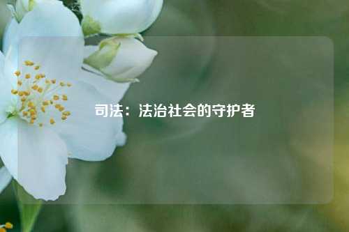 司法:法治社会的守护者