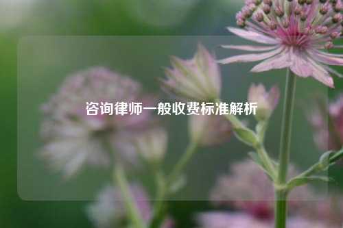 咨询律师一般收费标准解析